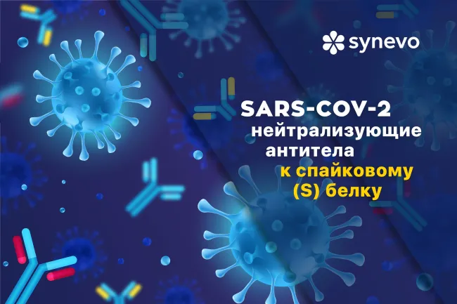 Informații utile despre 'SARS-COV-2 - anticorpi neutralizanti anti-proteina spike (S)'