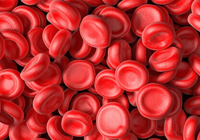 Cele mai citite articole