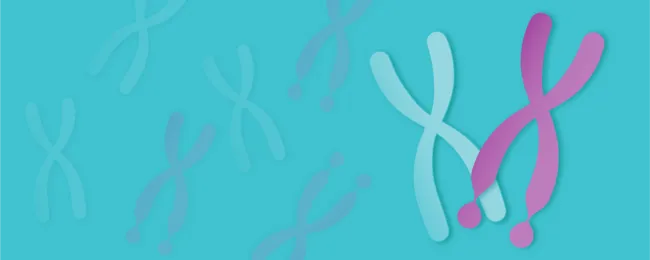 Sindromul X fragil (OMIM: 309550)