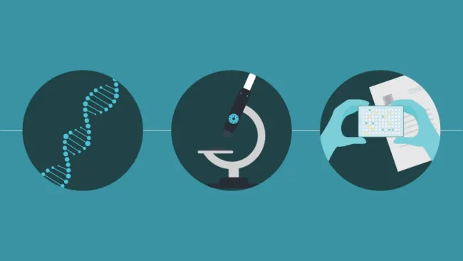 Testare genetică (tehnici)