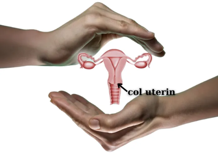 col uterin